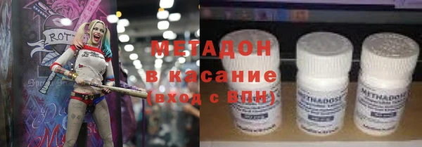 индика Медвежьегорск