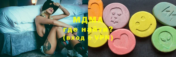 индика Медвежьегорск