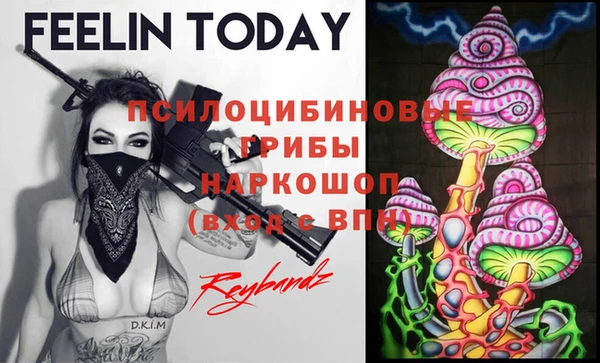 индика Медвежьегорск