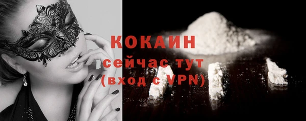 крисы Мегион