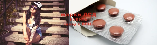 индика Медвежьегорск