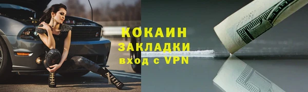 крисы Мегион