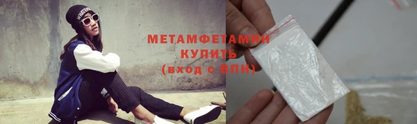 индика Медвежьегорск