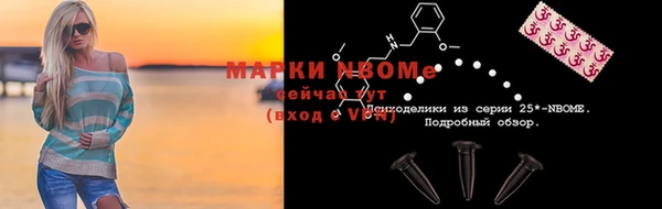 индика Медвежьегорск