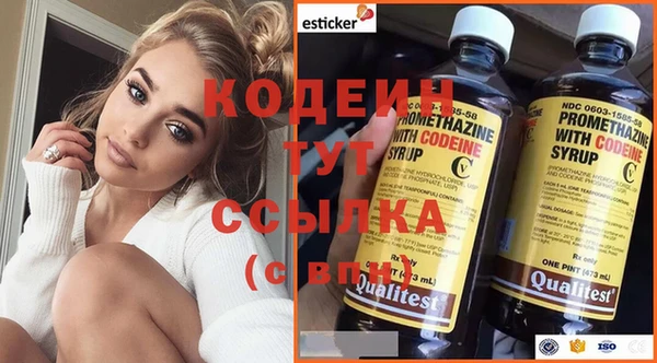 крисы Мегион