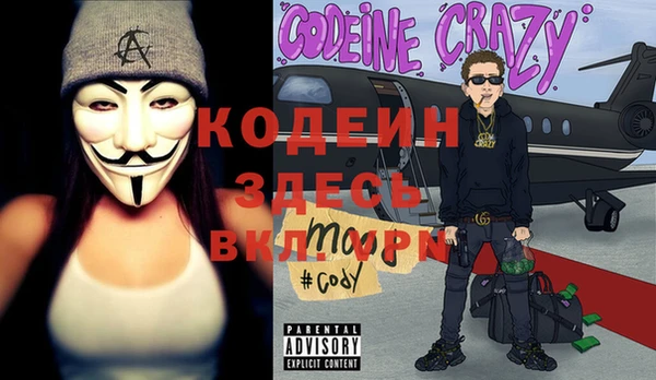 крисы Мегион