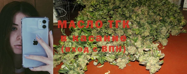 индика Медвежьегорск