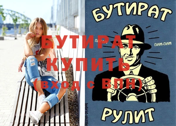индика Медвежьегорск