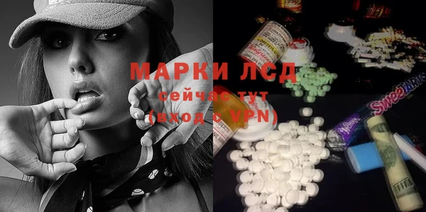 индика Медвежьегорск