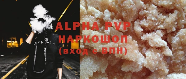 индика Медвежьегорск