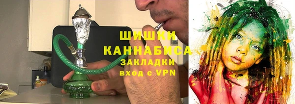 крисы Мегион