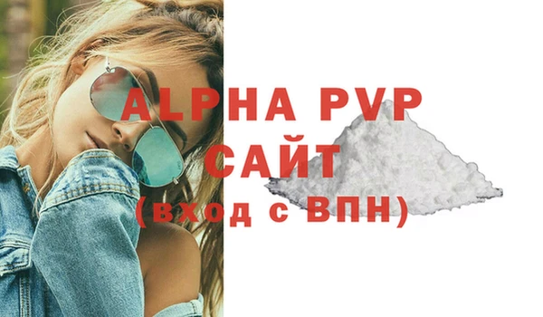индика Медвежьегорск
